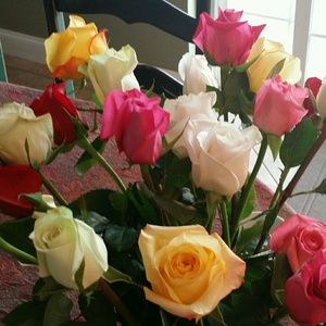 Meet your Posher, Jimmie